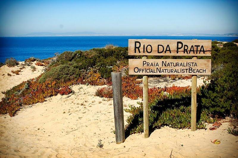 Вилла Moradia Da Bananeira Lagoa de Albufeira Экстерьер фото
